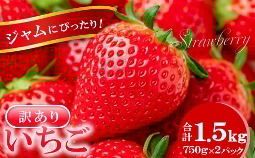 ジャムにぴったり　訳あり いちご（750g×2パック）【いちご 4月発送 訳あり 5月発送 わけあり 甘い 果物 フルーツ 苺 イチゴ ストロベリー あまい 不揃い 1.5kg 冷蔵 期間限定 季節限定】
