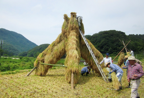開春 生酛純米木桶仕込みセット（720ml×2本）【日本酒 2本 720ml 純米酒 開春 生酛 きもと 生もと純米 イ宛 寛文の雫 木桶 酵母無添加 低精米 木桶仕込み 新感覚 冷や 冷酒 燗 熱燗