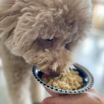 ふるさと納税 郡山市 ワンズバーグ　豚・鶏・馬<犬用おやつ>3種SET |  | 02