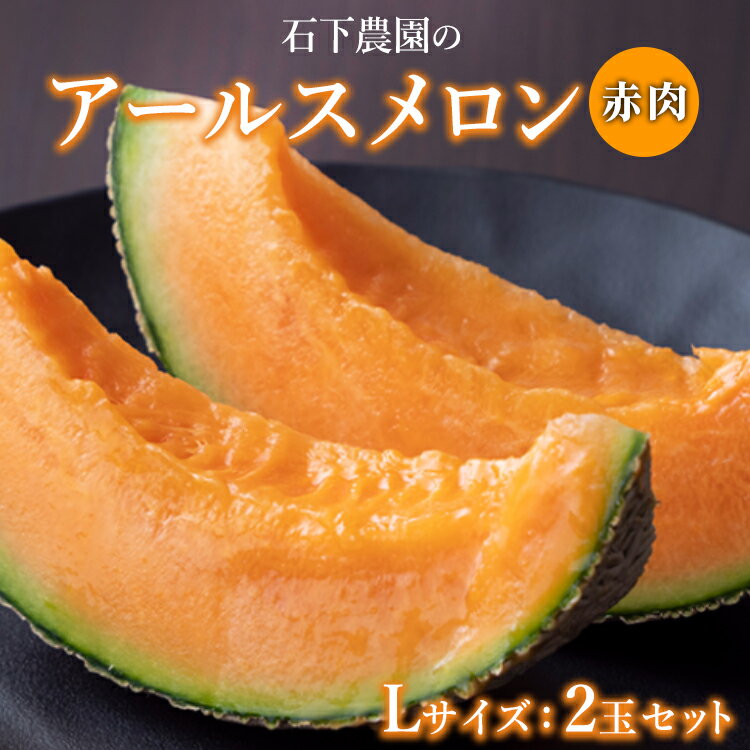 【ふるさと納税】〈先行予約受付〉石下農園のアールスメロン〈赤肉〉 Lサイズ 2玉セット ｜ 果物 フルーツ メロン 国産 アールスメロン ギフト 贈答 ※離島への配送不可 ※2025年9月下旬～11月上旬頃に順次発送予定