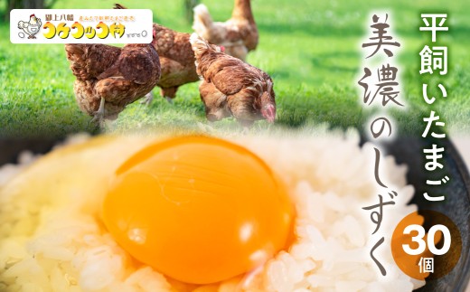 【10個×3パック】新鮮平飼いたまご『美濃のしずく』30個入 ≪定期便 3回～6回≫ 卵 たまご 平飼い 定期便 卵 たまご 平飼い 定期便 卵 たまご 平飼い 定期便 卵 たまご 平飼い 定期便 卵 たまご 平飼い 定期便 卵 たまご 平飼い 定期便 卵 たまご 平飼い 定期便 卵 たまご 平飼い 定期便 卵 たまご 平飼い 定期便 卵 たまご 平飼い 定期便 卵 たまご 平飼い 岐阜県 郡上市