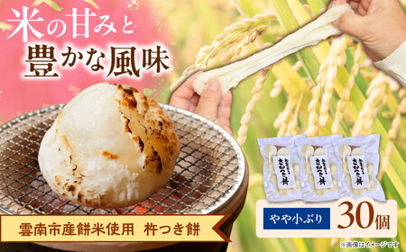 杵つき餅（丸餅）380g×3袋 [AIEG001]