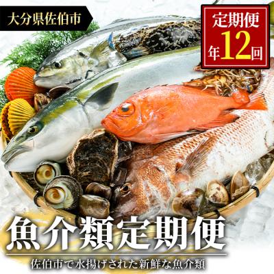 ふるさと納税 佐伯市 ＜定期便・全12回 (連続)＞魚介類定期便 (2-3人前×12ヶ月)