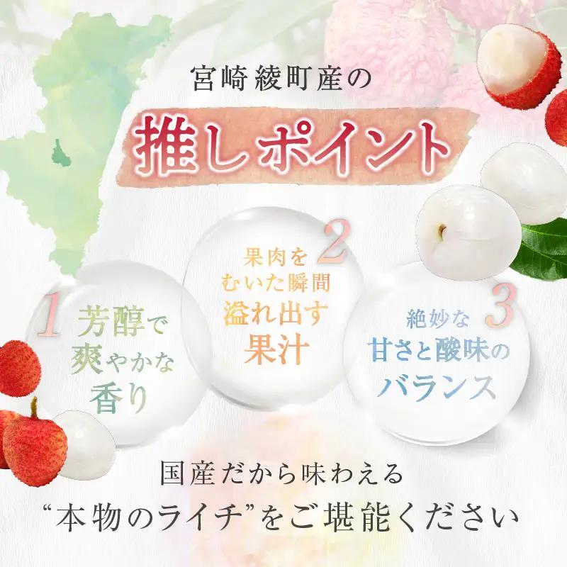 【先行予約】希少 綾生ライチ 2箱セット（化粧箱入り） / 宮崎県産 ライチ 国産【JA綾町】_A0114-237