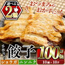 【ふるさと納税】＜選べる2種！＞国産豚肉使用！手作り餃子(ショウガ餃子・ニンニク餃子/計100個・10個×10パック) 餃子 ぎょうざ ギョウザ ギョーザ しょうが 生姜 にんにく 豚肉 おかず お惣菜【スーパーよしだ】