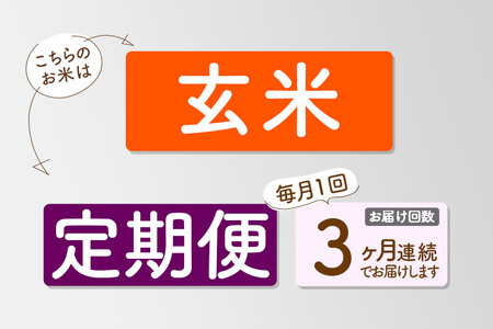 【玄米】《定期便3ヶ月》令和6年産 秋田県産 あきたこまち 環境保全米 5kg (5kg×1袋)×3回 計15kg