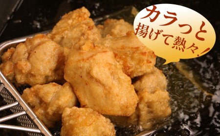 中津からあげ ぶんごや 骨なし 500g×2個 | 家庭調理 中津からあげ 唐揚げ からあげ から揚げ 弁当 おかず お惣菜 おつまみ 大分県 中津市