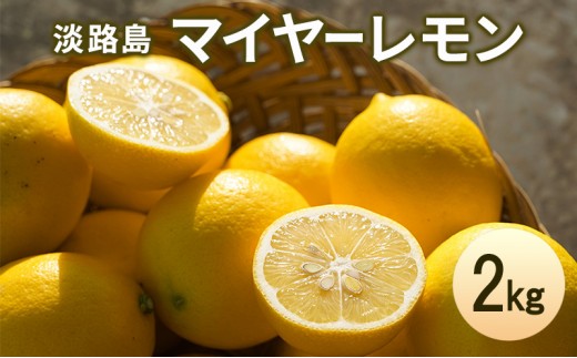 淡路島 マイヤーレモン 2kg レモン 檸檬 れもん グリーンレモン 果物 フルーツ 季節の果物 季節のフルーツ 旬 旬のフルーツ 旬の果物 洲本市