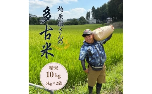 多古米セレクション　柏原徹さんの多古米コシヒカリ　精米10kg　令和7年産【1655241】