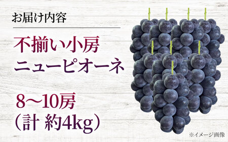 ぶどう ニューピオーネ 不揃い 約4kg APAB006