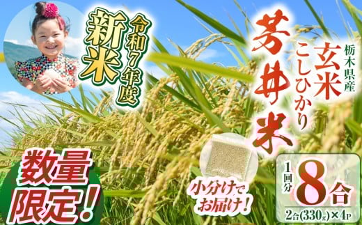 【数量限定】【令和7年度】那珂川町産芳井米 玄米 330g（2合分）×4 | こしひかり 新米 米 ごはん  ふっくら もちもち  ふるさと納税 那珂川町 栃木県