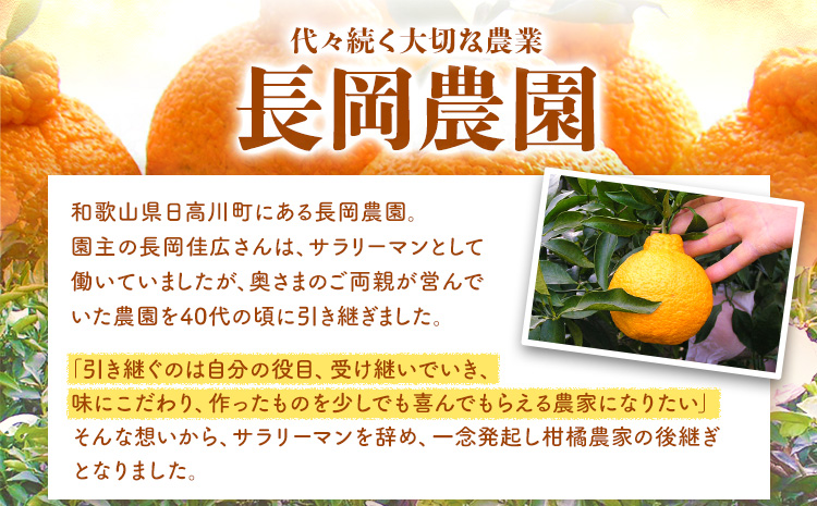 【先行予約】【訳あり】不知火 約10kg 長岡農園《2月中旬-4月上旬頃出荷》 和歌山県 日高川町 訳あり デコポン と同品種  柑橘 みかんしらぬいst-p