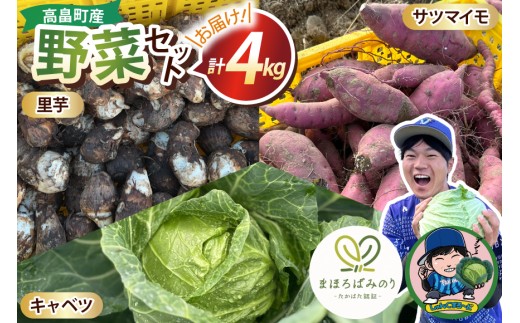 【期間限定発送】 3種 野菜 ( キャベツ さつまいも 里芋 ) 計約4kg セット [農家の店しゃんくすろーど 山形県 高畠町 tk06bcz250000] やさい 詰め合わせ サツマイモ 芋 さといも 食べ比べ