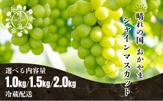 
            【選べる容量】【先行予約　2025年9月上旬発送〜】岡山県産シャインマスカット1.0kg（2〜3房）〜2.0kg（3〜4房）
          