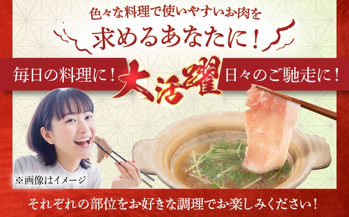 豚肉 セット スライス しゃぶしゃぶ ロース トンカツ スペアリブ こま切れ
