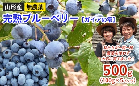 山形産 無農薬 完熟ブルーベリー【ガイアの雫】500g(100g×5パック)【令和8年産先行予約】FS24-500 くだもの 果物 フルーツ 山形 山形県 山形市 2026年産