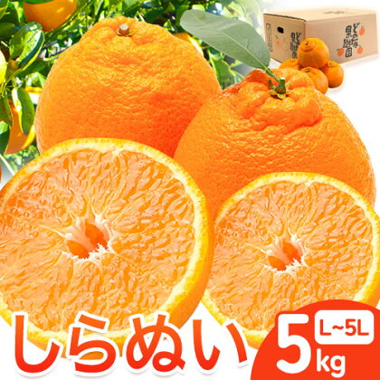 不知火 ( デコポン と同品種 ) しらぬい 約 5kg (L～5Lサイズ) どの坂果樹園《2月中旬-4月上旬頃出荷》 和歌山県 日高川町 しらぬい 不知火 デコポン でこぽん 旬 果物 フルーツ 柑橘 産地直送 送料無料