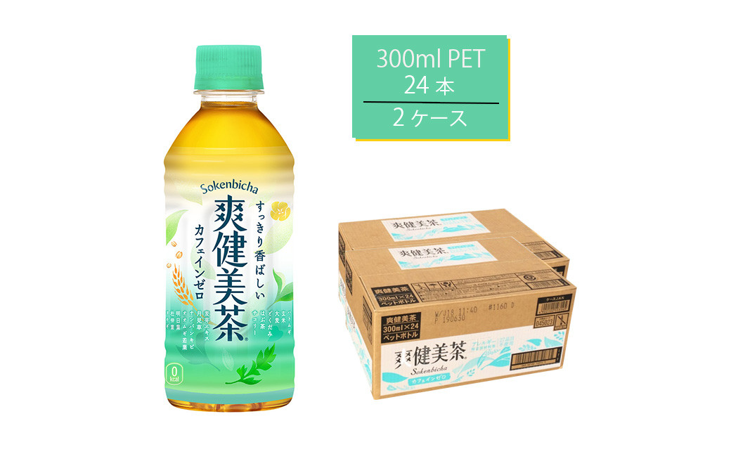 
爽健美茶 300mlPET×24本×2箱　【11100-0541】
