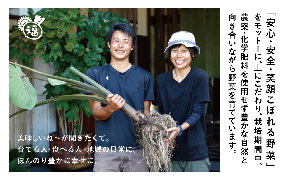 【鹿児島県南さつま市産】福元農園 旬のお野菜 おまかせセット 1箱（5～8品目）