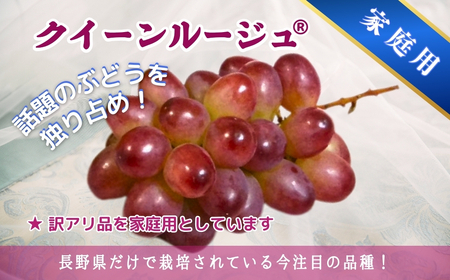 【2026年先行予約】家庭用 シャインマスカット＆クイーンルージュ®︎ 約1.5kg(2~3房)｜ ぶどう