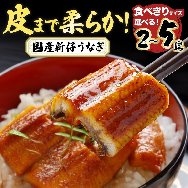 【ふるさと納税】 やわらか国内産 うなぎ蒲焼 食べ切りサイズ! 選べる 2尾〜5尾 (100〜110g×2尾〜5尾) 食べ切りサイズ ふっくら蒲焼き ブランド鰻使用 秘伝のタレ・山椒付き 湯煎で簡単調理 うな丼 ちらし寿司 贈答用 ギフト 冷蔵配送 国産 茨城県 潮来市 (A23-011)