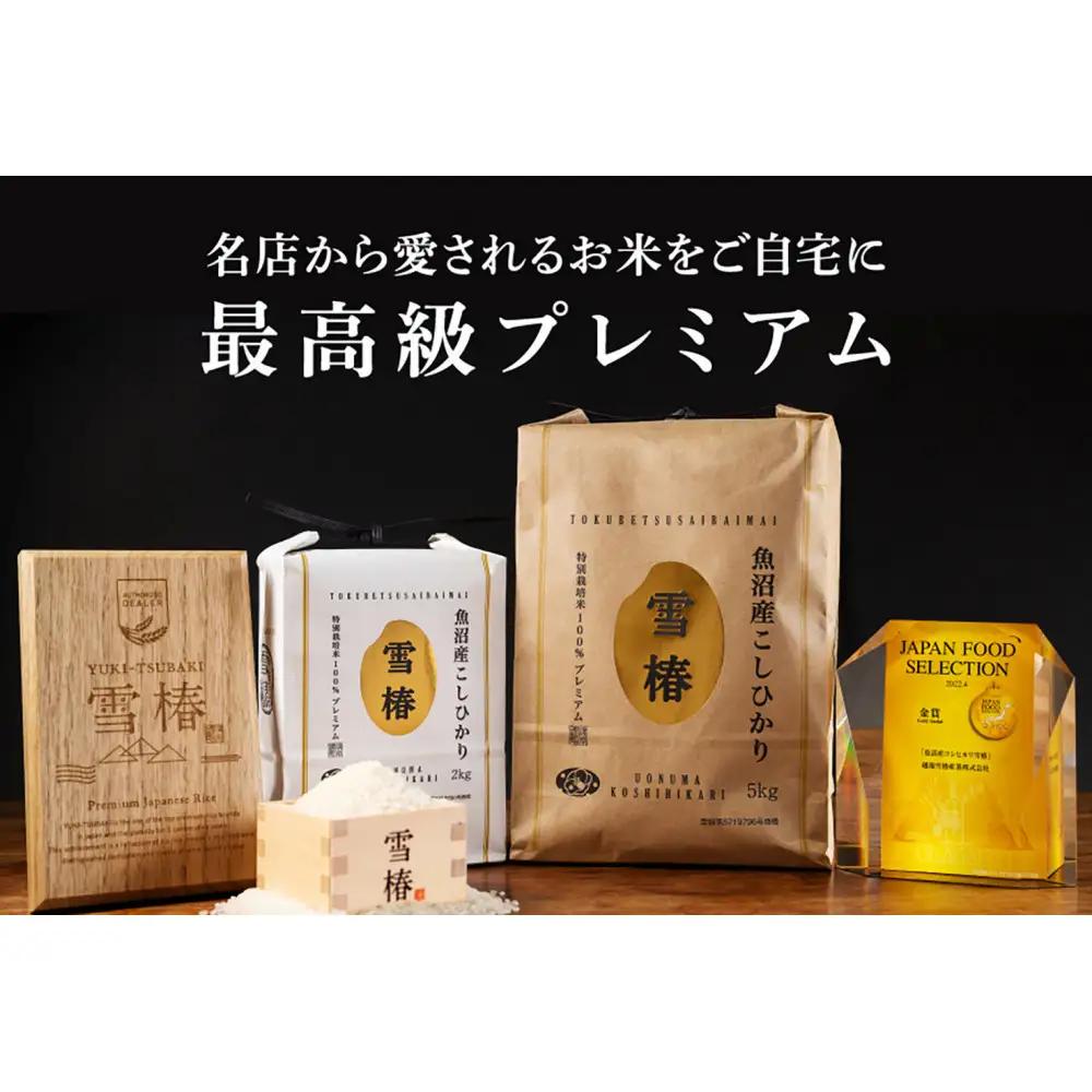 【令和8年産 コシヒカリ 先行予約】【定期便 6ヶ月】魚沼産コシヒカリ 雪椿 10kg(5kg×2袋) × 6回 特別栽培米