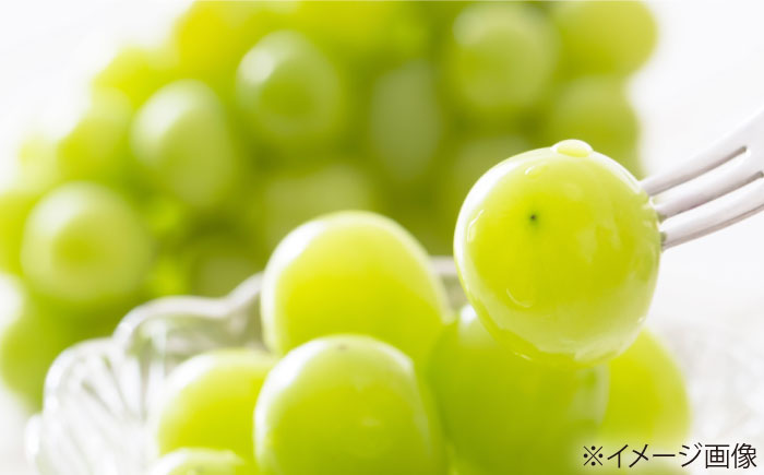 【先行予約】【8月中旬から順次発送】 ぶどう 4から5房 約2kg 詰め合わせ セット 愛媛県大洲市/有限会社西山青果　フルーツ 果物 ぶどう ピオーネ [AGAR023]