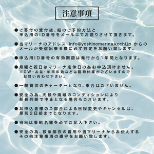 【貸切】プライベート クルージング プラン 1～10名 貸切 スイーツ付き 横浪半島 絶景 体験  記念 チャーター クルーズ 海 リフレッシュ マリンスポーツ 高知 須崎市 YMR001