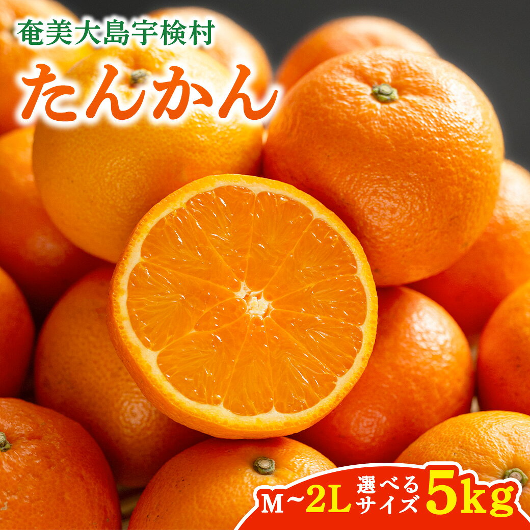 【ふるさと納税】【予約受付 数量限定 2027年2月～発送】完熟 たんかん 希少 農園【5kg】 M L 2L サイズ タンカン 柑橘 みかん ミカン 奄美 国産 光センサー 果物 奄美のみかん 厳選 糖度10度以上 甘い 数量 期間 限定 鹿児島 家庭用 奄美大島 宇検村