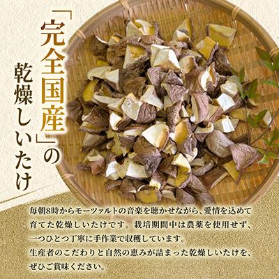 ふるさと納税 大垣市 【訳あり】希少な国産乾燥しいたけ ダイス型 計100g(20g×5袋) |  | 01