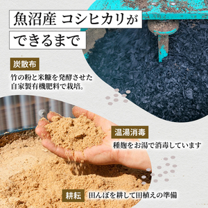 無洗米 米食味鑑定士 厳選 魚沼産 コシヒカリ 5kg 6ヶ月 連続お届け （ 米 定期便 こしひかり 定期 お米 新潟 魚沼 魚沼産コシヒカリ 魚沼産こしひかり こめ コメ おこめ 白米 お楽しみ 