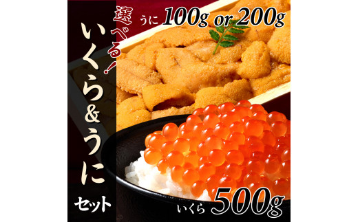 
【年内発送】冷凍 エゾバフンウニ折詰 100g／200gといくら醤油漬け 500gセット
