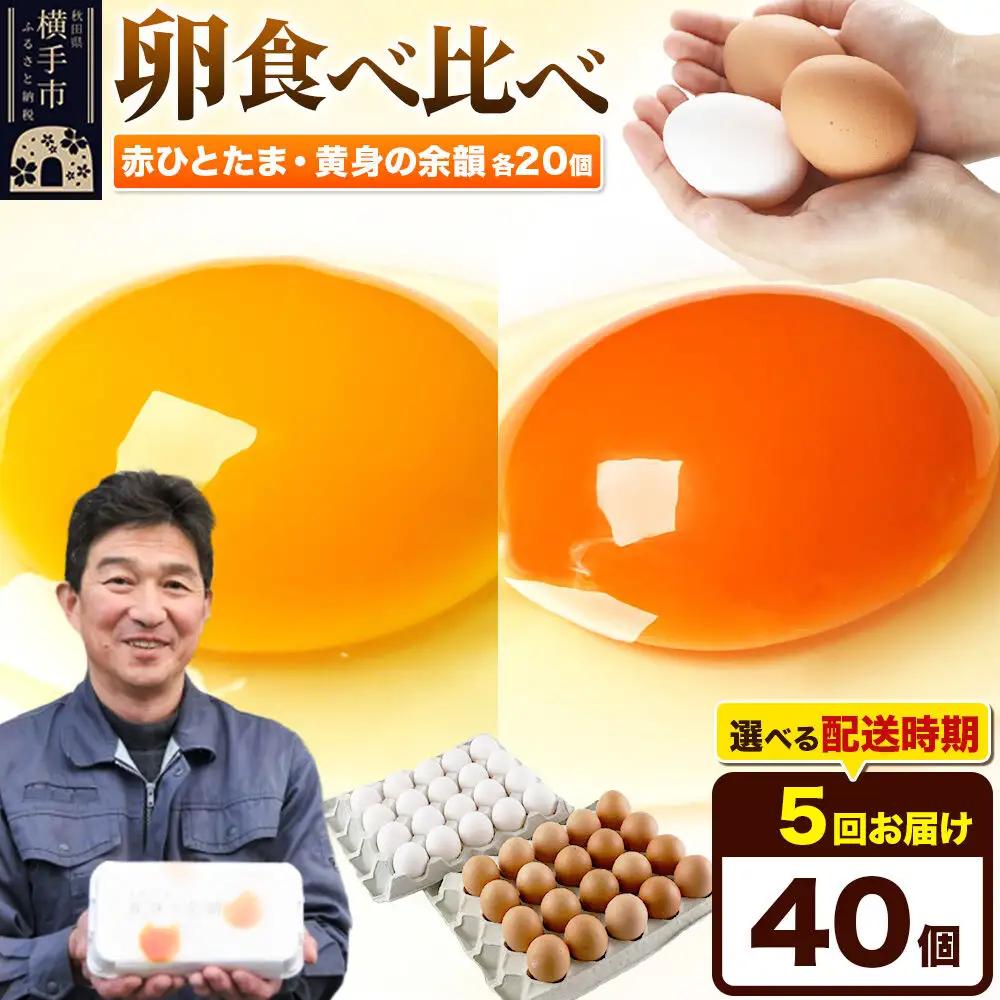 《定期便5ヶ月》赤ひとたま 20個・黄身の余韻 20個 計40個（業務用）