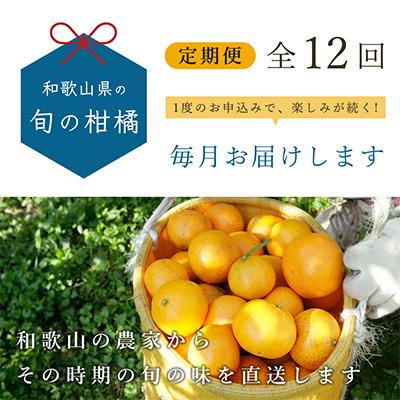 ふるさと納税 那智勝浦町 【発送月固定定期便】季節の柑橘定期便B【フルーツ定期便】【和歌山県有田】全12回 |  | 01