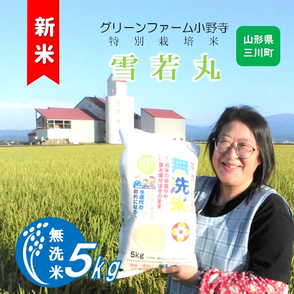 【令和7年産】《無洗米》グリーンファーム小野寺の雪若丸5kg(GF小野寺)