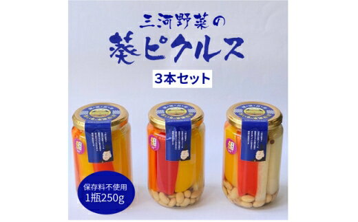 【ふるさと納税】 三河野菜の葵ピクルス あいちの家康酢漬 250g 3本 [アクト 愛知県 岡崎市 ok23bzx230003]国産 瓶 酢漬 詰め合わせ セット 人参 きゅうり 大根 パプリカ 大豆
