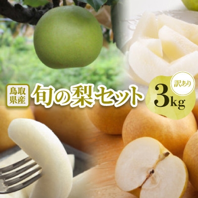 
                  ＜訳あり＞鳥取県産旬の梨 3kg【1733758】
                