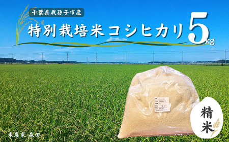 【冷めても美味しい】農家直送 千葉県産 特別栽培米コシヒカリ 5kg（精米）