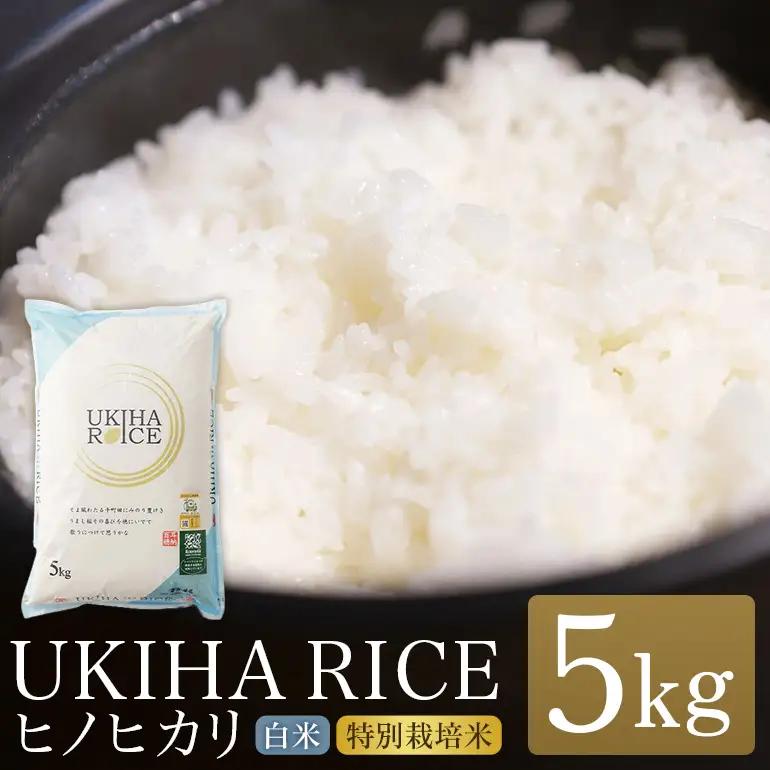 米 白米 精米 UKIHA RICE ヒノヒカリ 令和7年産 5kg 株式会社みずほファーム