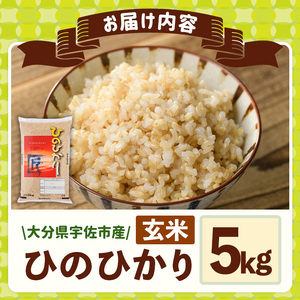＜令和7年産＞ひのひかり 玄米 (5kg) お米 ごはん ご飯【107101303】【あいはな農園】