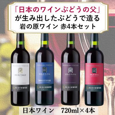 ふるさと納税 上越市 岩の原ワイン　「日本のワインぶどうの父」川上善兵衛が生み出したぶどう　赤ワイン4本セット
