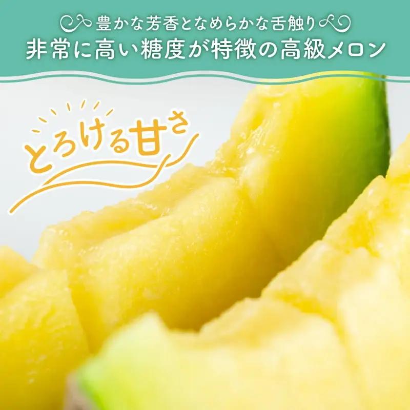 農園自慢の『マスクメロン』（アールスメロン）大玉×2玉入り《先行予約》2027年6月下旬から順次発送【0264-5】