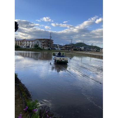 ふるさと納税 岐阜市 岐阜市産 ハツシモ 清流長良川米 精米 15kg(5kg×3袋) |  | 03