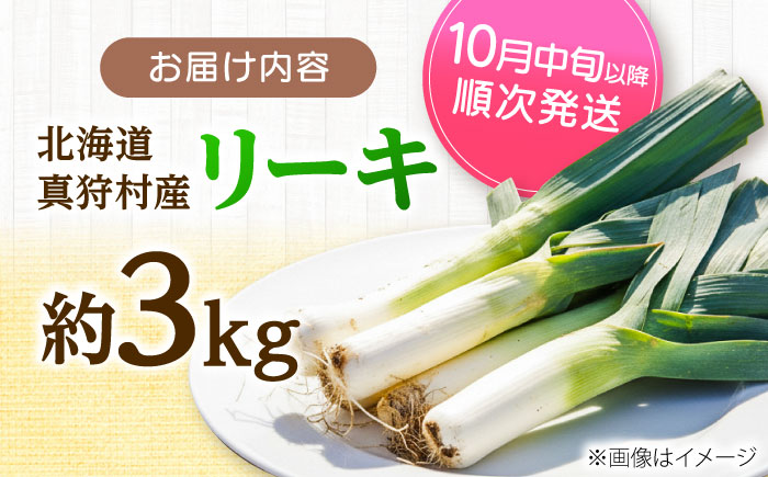 【2026年10月中旬以降順次発送】 リーキ 3kg | 野菜 ネギ ねぎ ポロネギ 西洋ねぎ リーキ 先行予約 | 道の駅 真狩フラワーセンター [BPAM045]