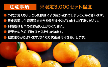 【先行予約】【11月下旬から順次発送】 紅まどんな 約3kg（8玉から12玉入）[AGAO008]紅まどんな 紅まどんな 紅まどんな 紅まどんな