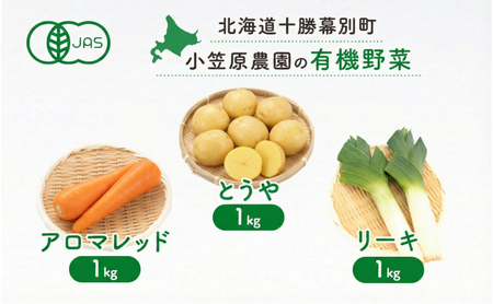 先行予約 有機野菜 3種セット 3kg とうや にんじん リーキ