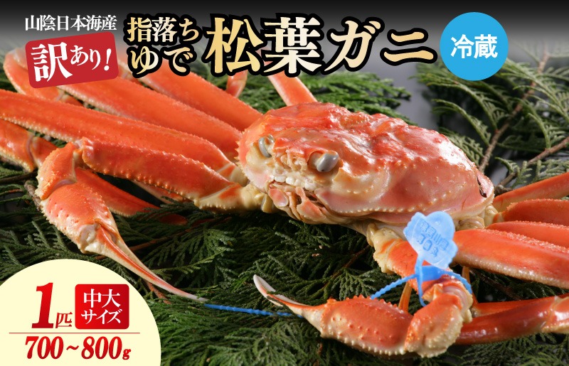 【訳あり！指落ち松葉がに】山陰沖ゆで松葉がに 700ｇ～800ｇ 中大サイズ（11月発送）／北畿水産　HK00244