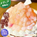 【ふるさと納税】【全12回定期便】白桃チーズタルト1ホール(14cm)【心優　−Cotoyu Sweets−】[KAA529]