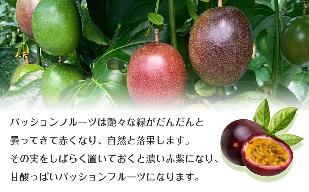 先行予約 ☆ 濱田農園 パッションフルーツ ☆ 2kg 家庭用