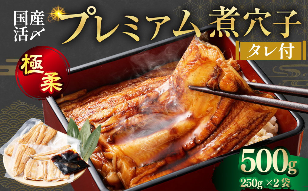 飯田商店 国産活〆 プレミアム 煮穴子 500g（ 250g×2袋 ） タレ（50g）付 魚介 魚介類 鮮魚 海鮮 魚 お魚 煮込み あなご 穴子 煮穴子 おかず 惣菜